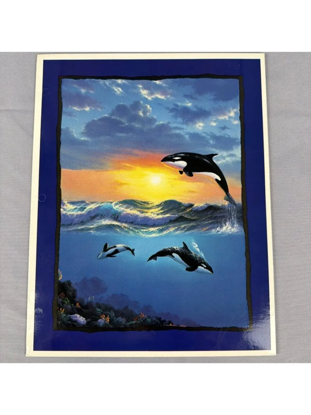 Vintage 90s Orca Killer Whale in Ocean ART IMPRESSIONS 3 Hole Pocket Folder NEW